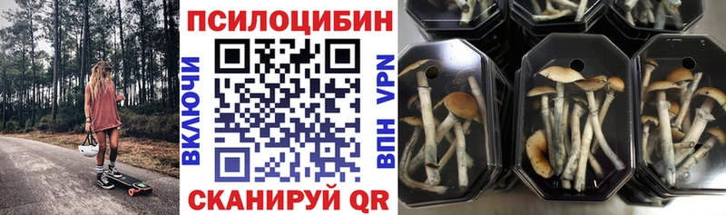 Псилоцибиновые грибы Psilocybine cubensis  Купить  Нальчик 